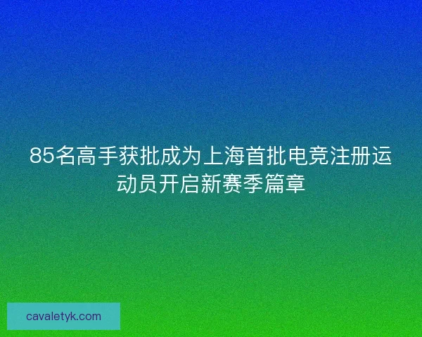 85名高手获批成为上海首批电竞注册运动员开启新赛季篇章