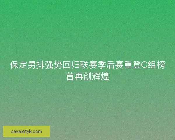保定男排强势回归联赛季后赛重登C组榜首再创辉煌